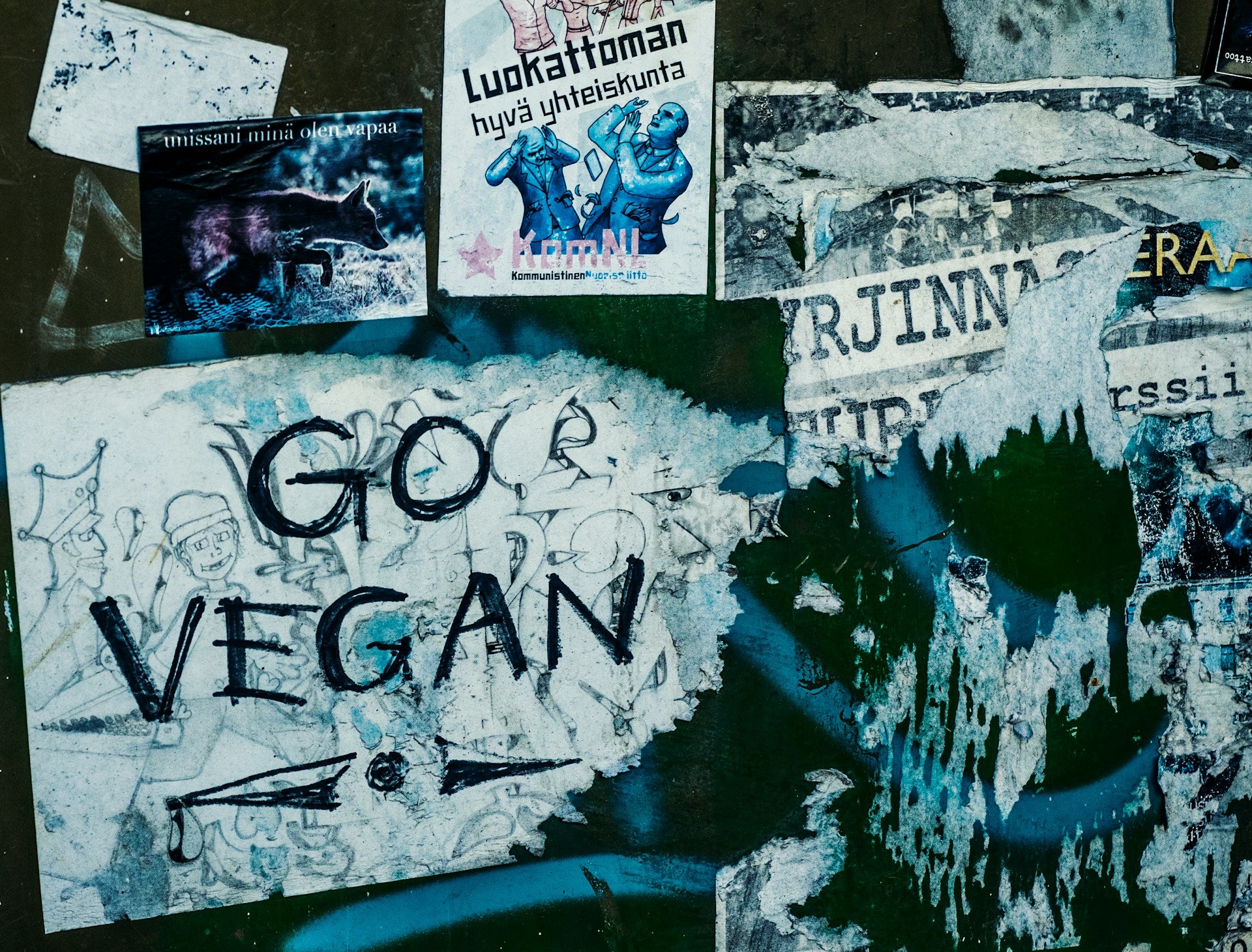 A graffiti covered wall with the message "Go Vegan." 