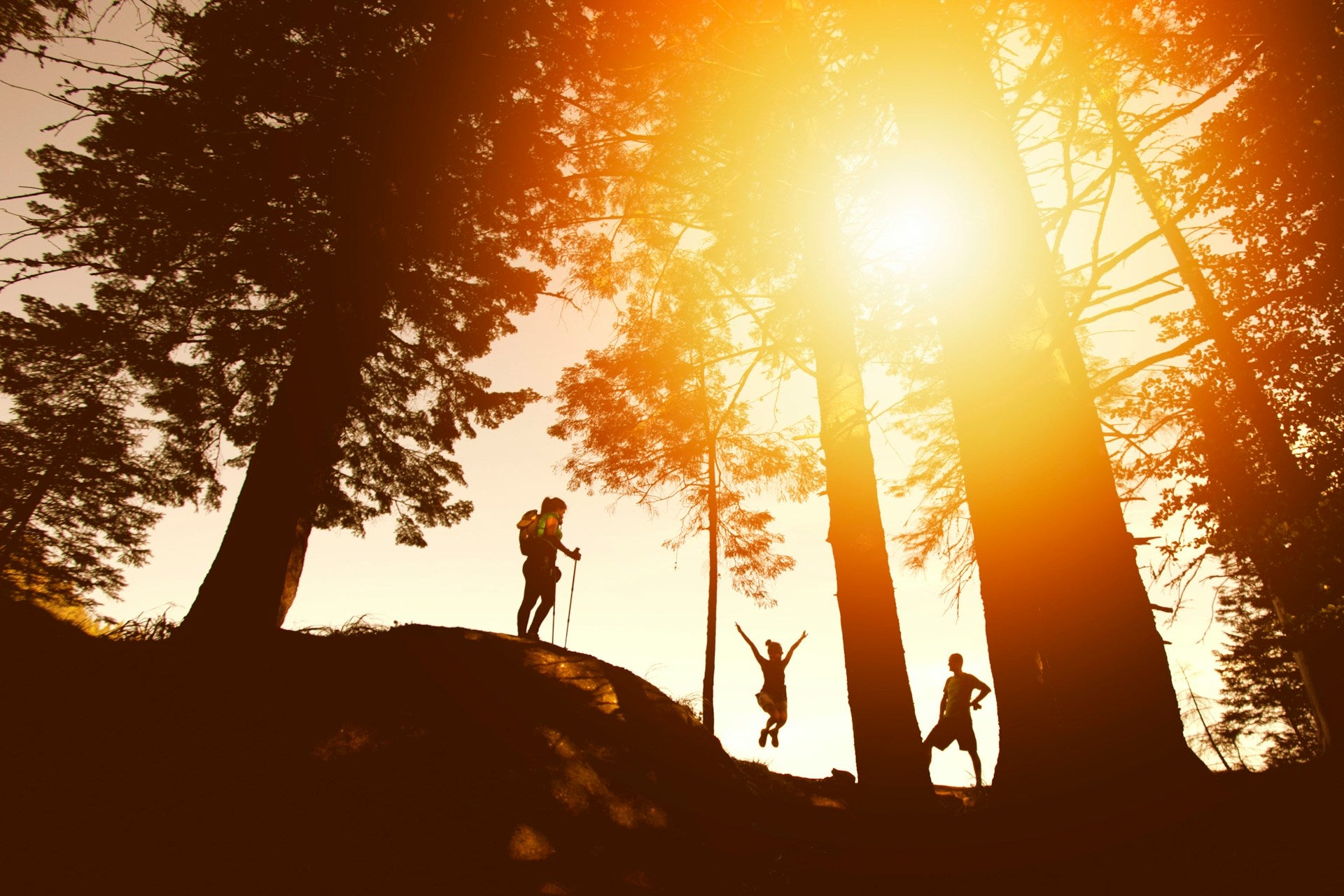 A sunburst through trees while three people hike.