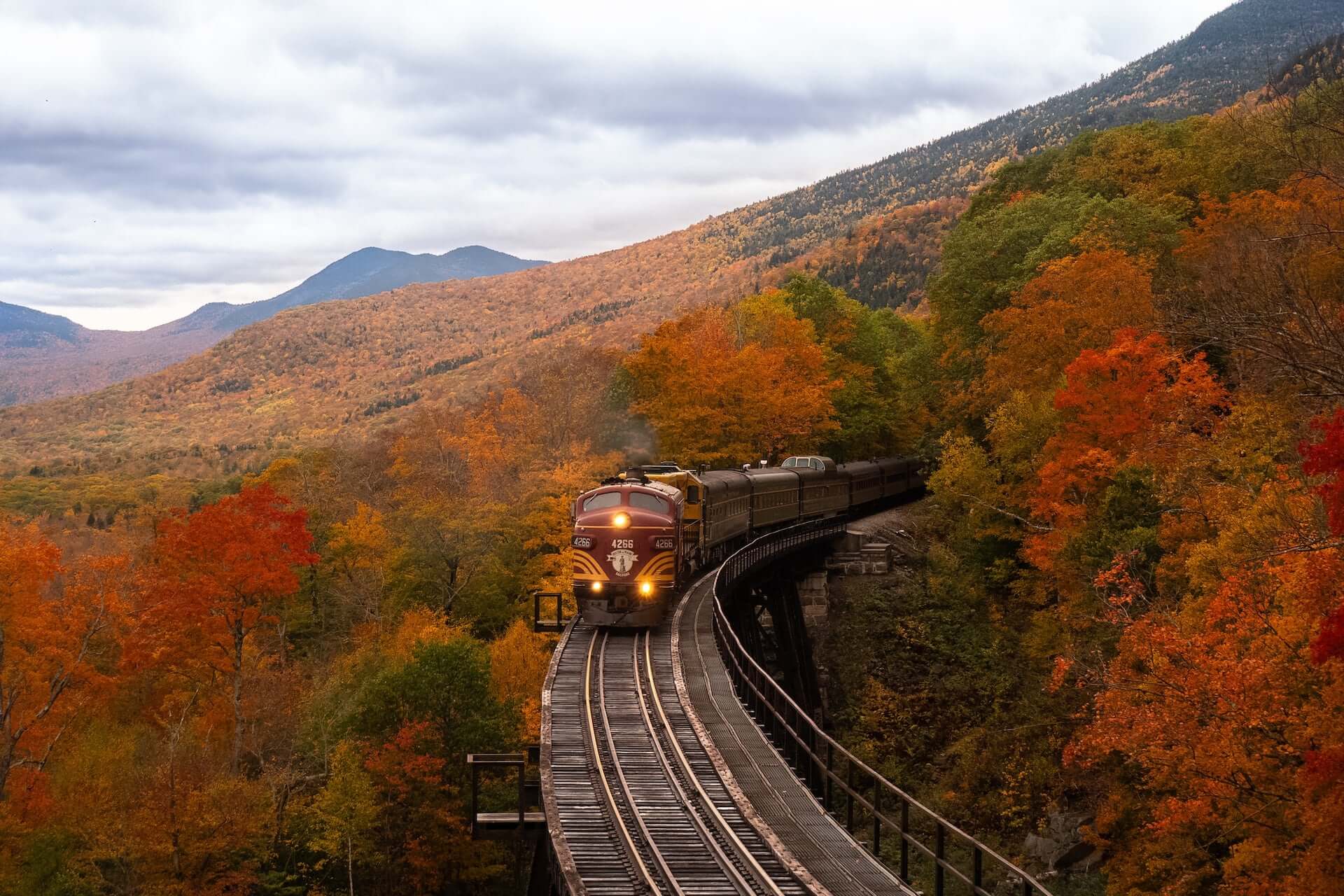 A train going through an autumnal hillside on a cloudy day.