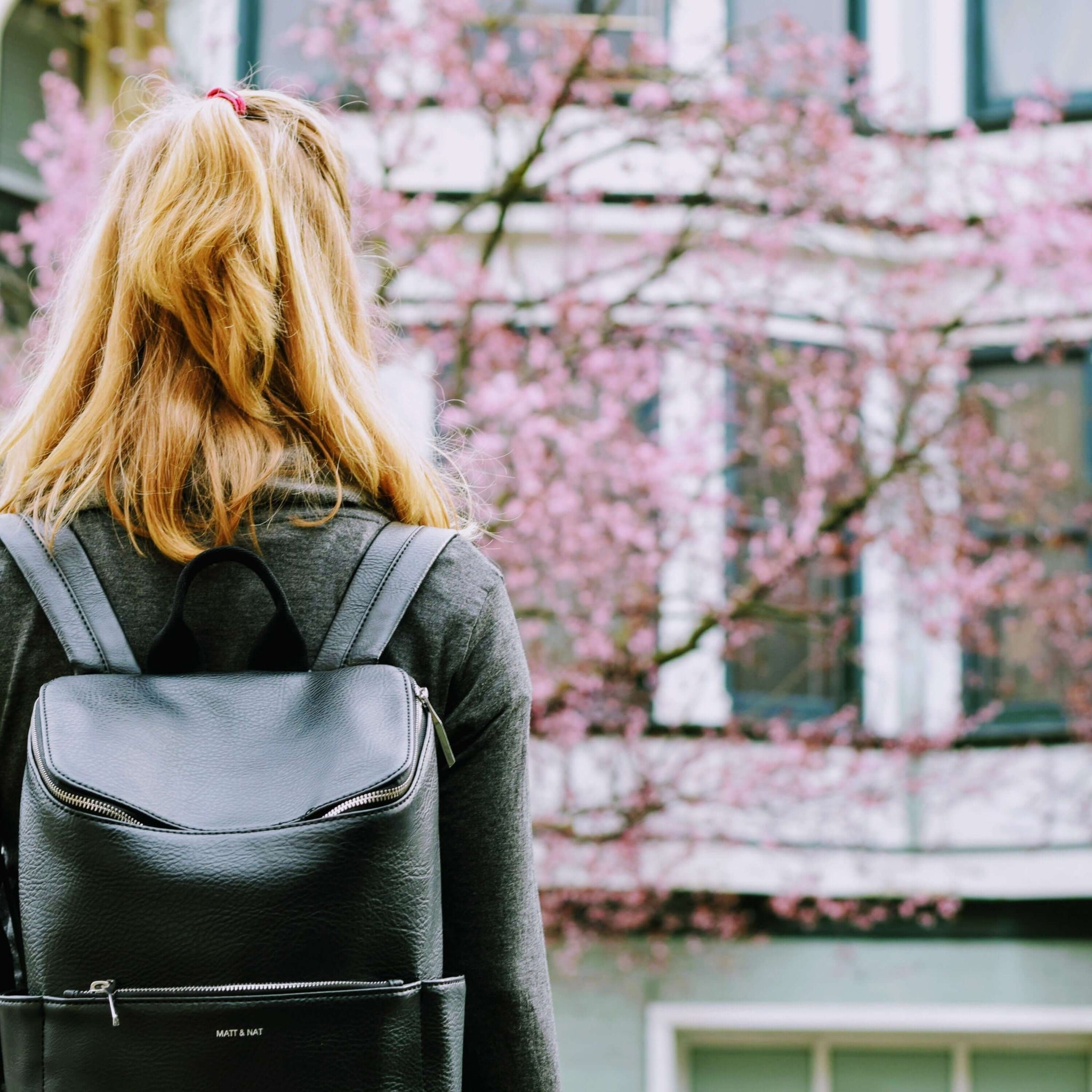 A woman with blonde hair stands with her back to the camera, facing a white building with cherry blossom trees in bloom in front of it. She wears a black backpack.