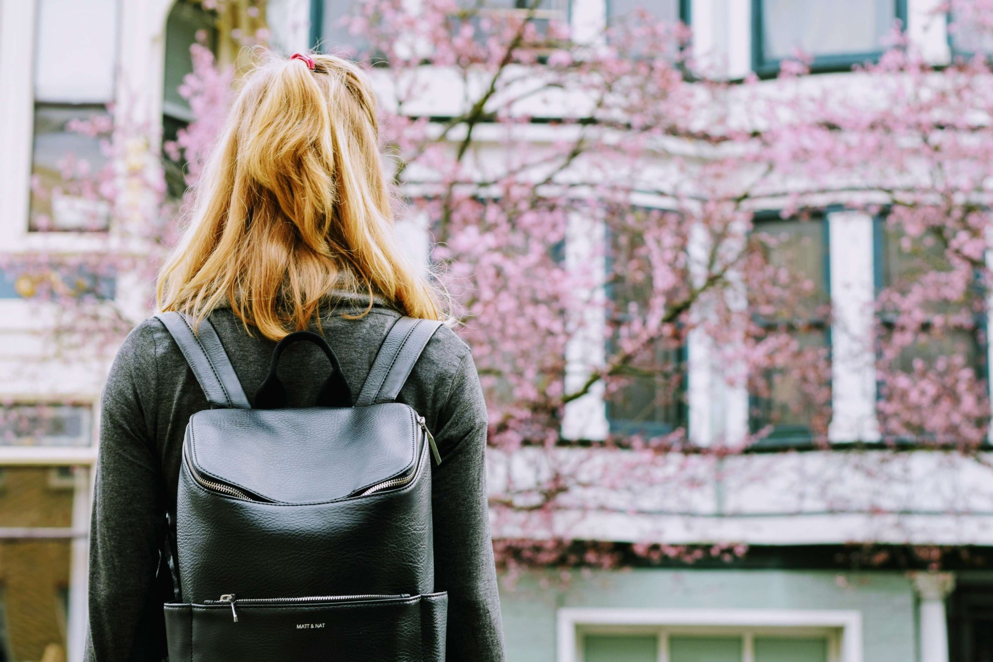 A woman with blonde hair stands with her back to the camera, facing a white building with cherry blossom trees in bloom in front of it. She wears a black backpack.