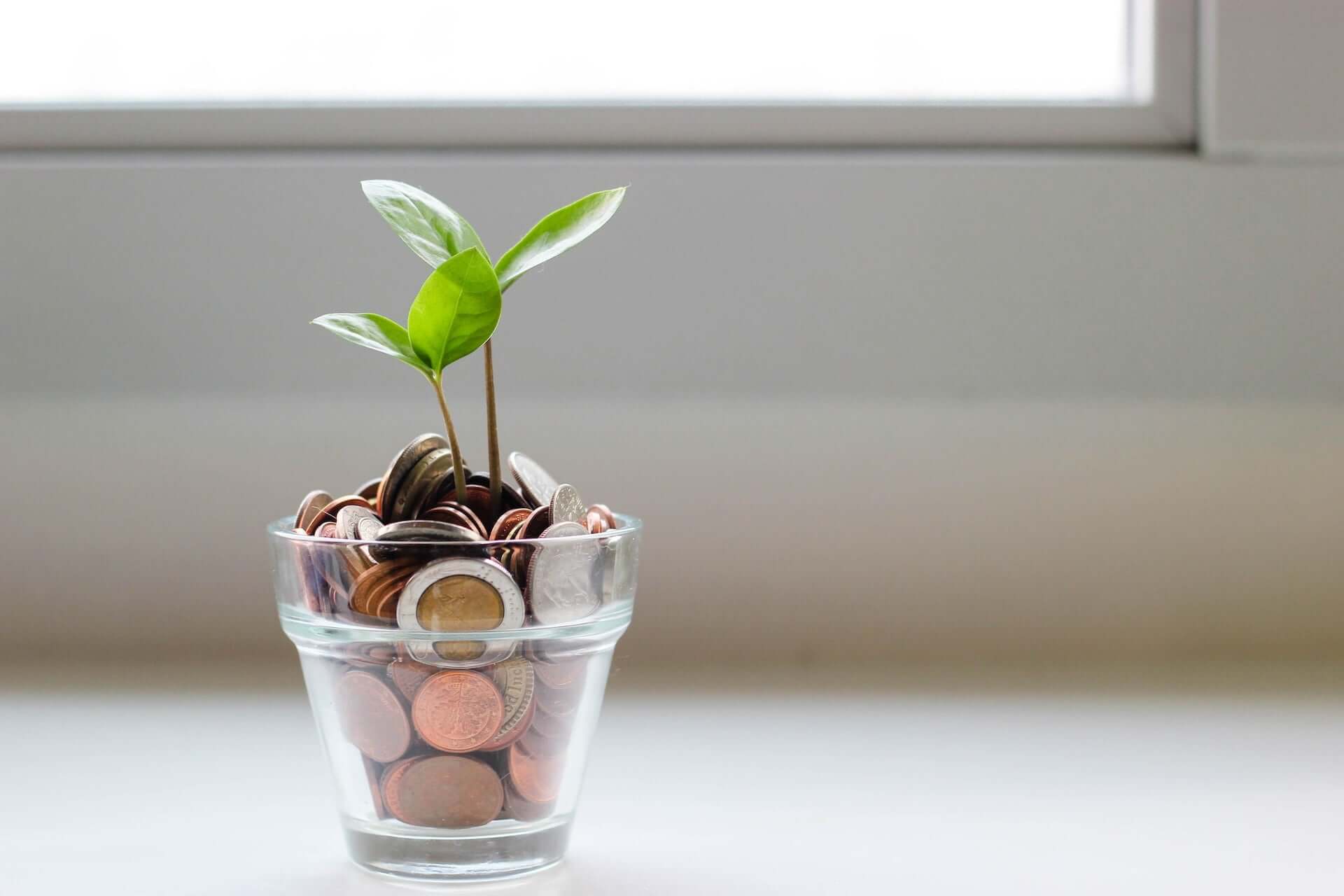A small plant in a glass pot full of American coins.