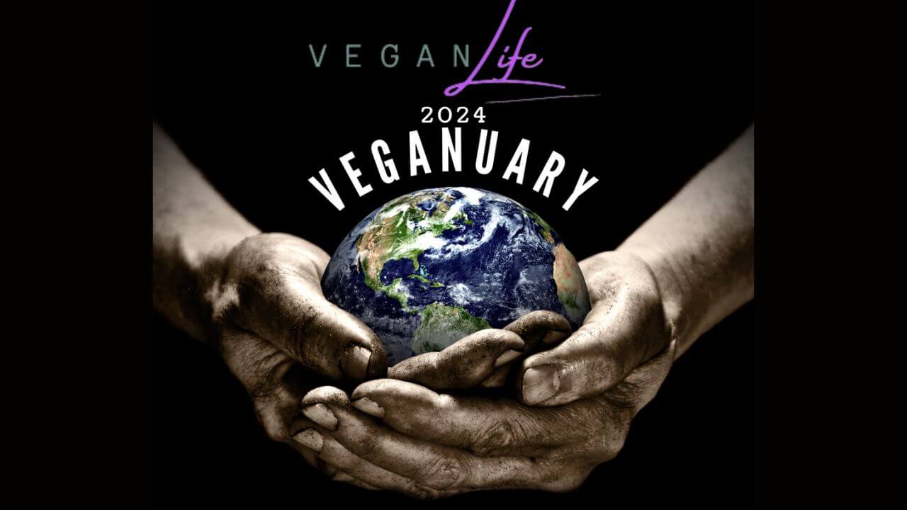 January Sales at Doshi: Veganuary