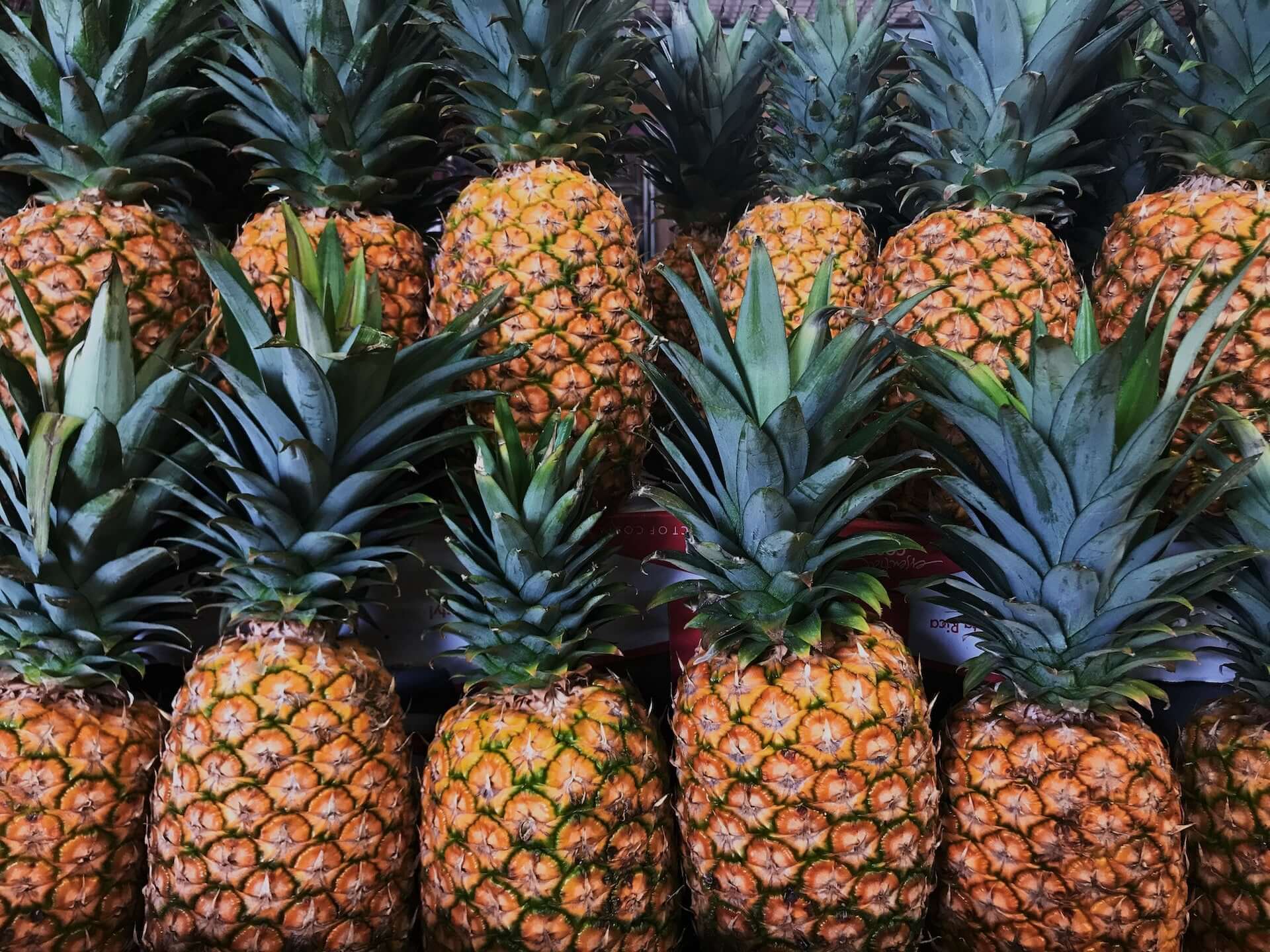 Two rows of whole pineapples with green leaves.