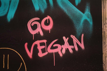 Pink spray paint on a black wall that reads "GO VEGAN."