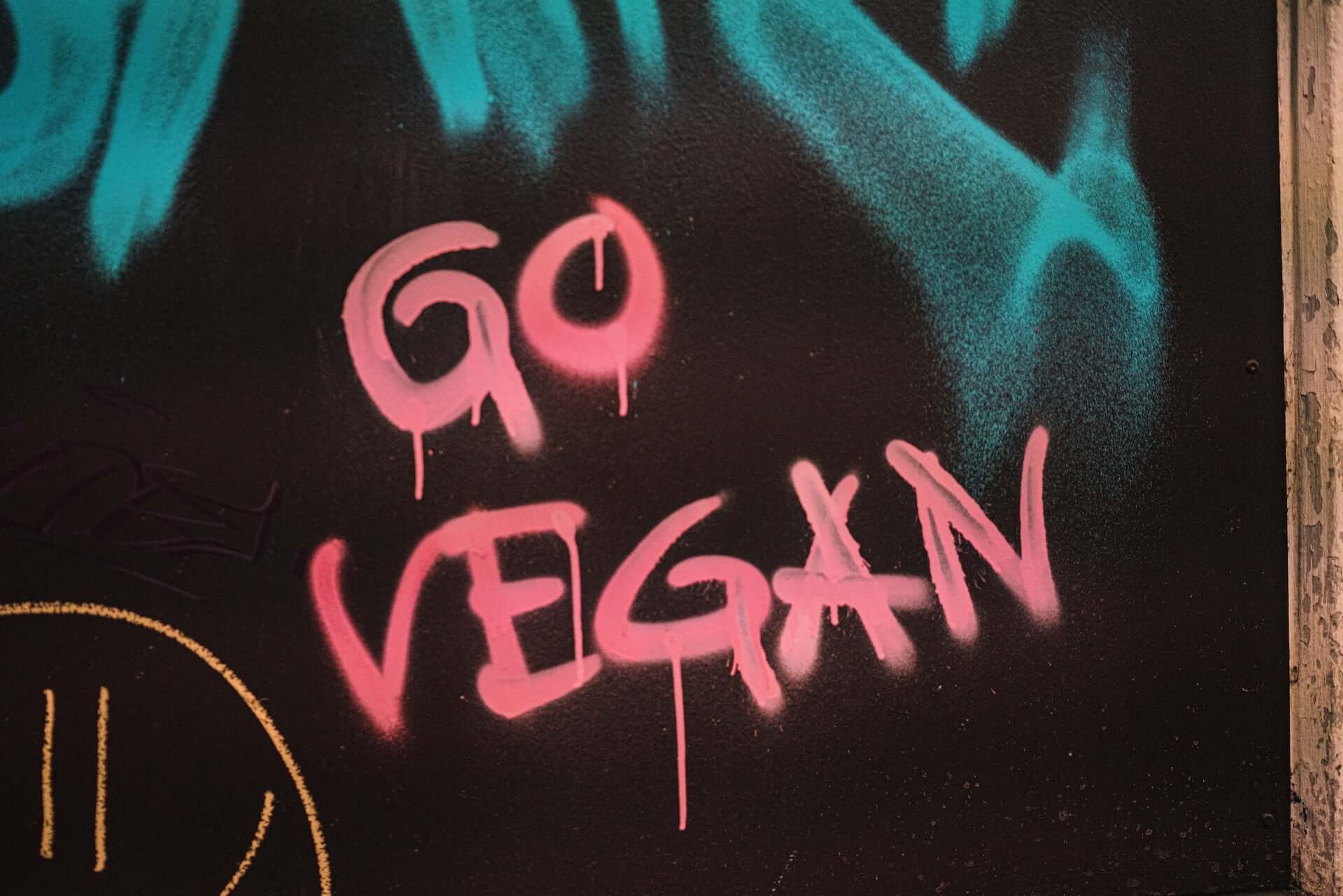 Pink spray paint on a black wall that reads "GO VEGAN."