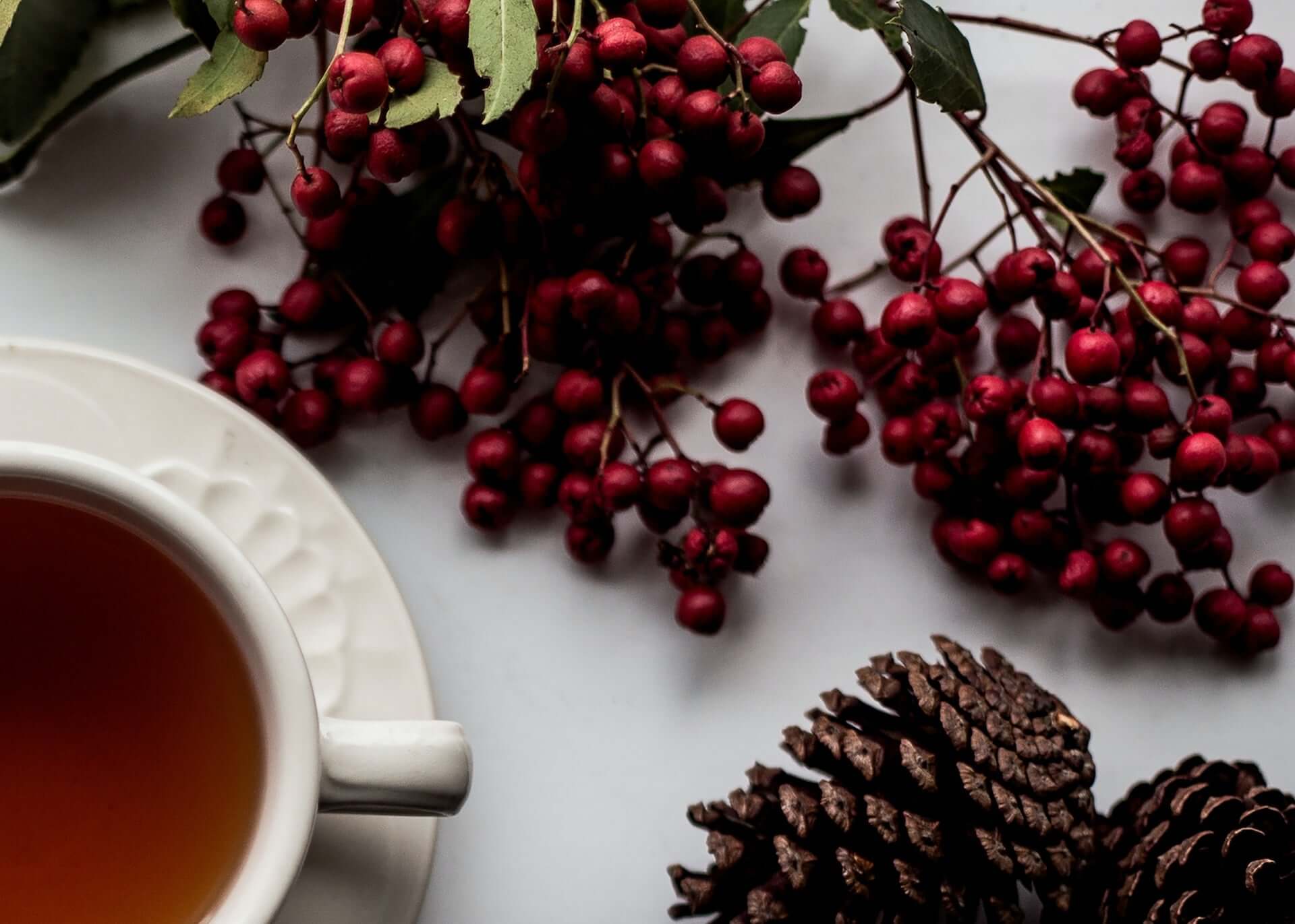 Holly berries, a cup of tea, and pinecones on a white table.