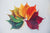 Leaves in various colors, arranged from green to deep red.