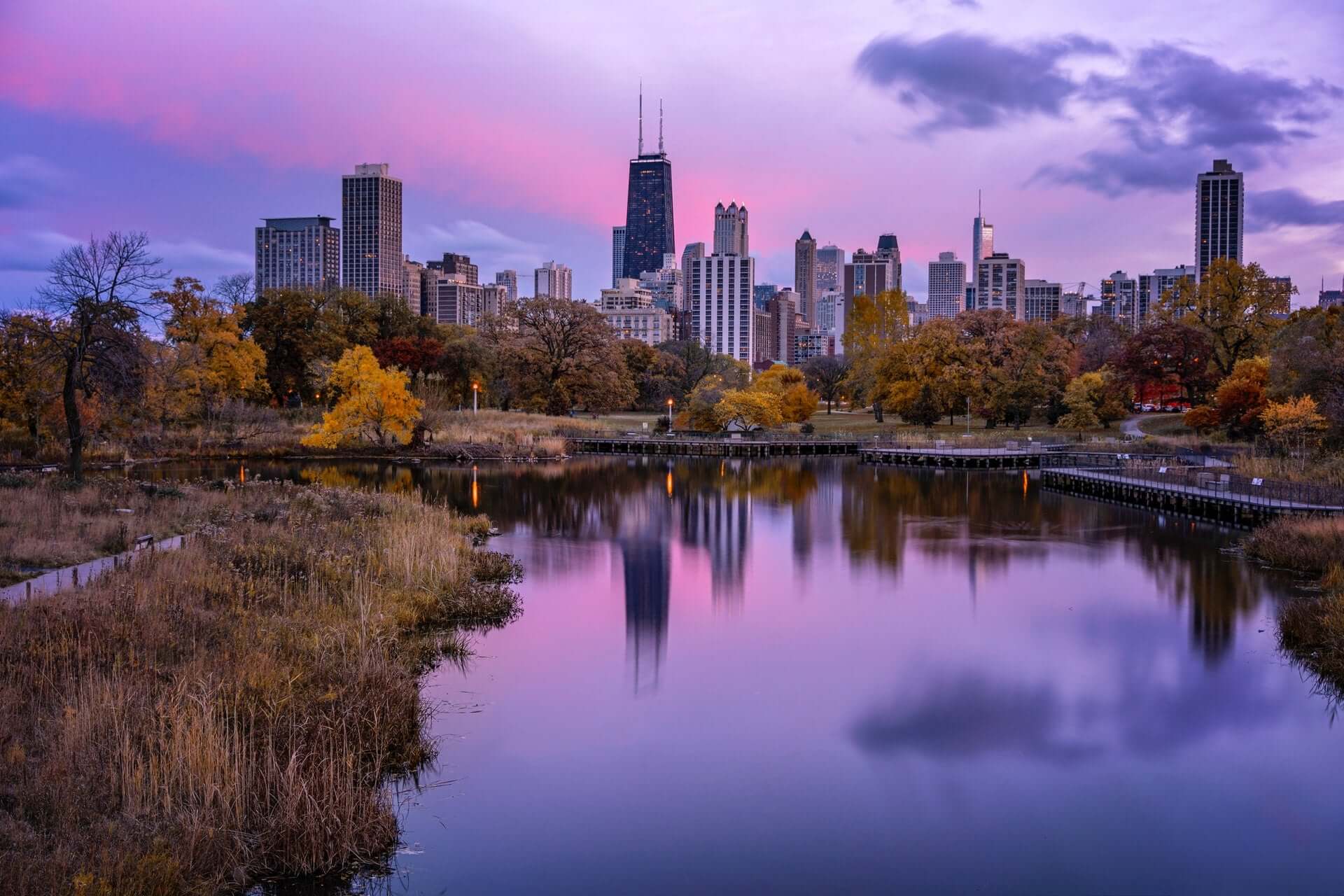 A purple-tinted view of the Chicago skyline from across a large pond.