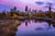A purple-tinted view of the Chicago skyline from across a large pond.