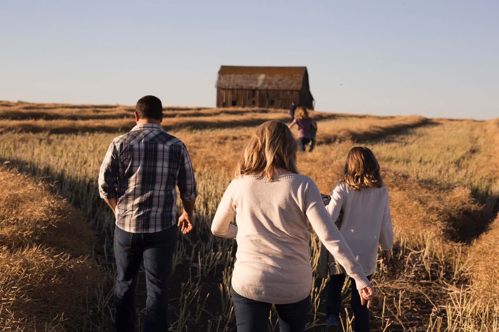A family with backs to the camera walks through a grassy field in the late afternoon.