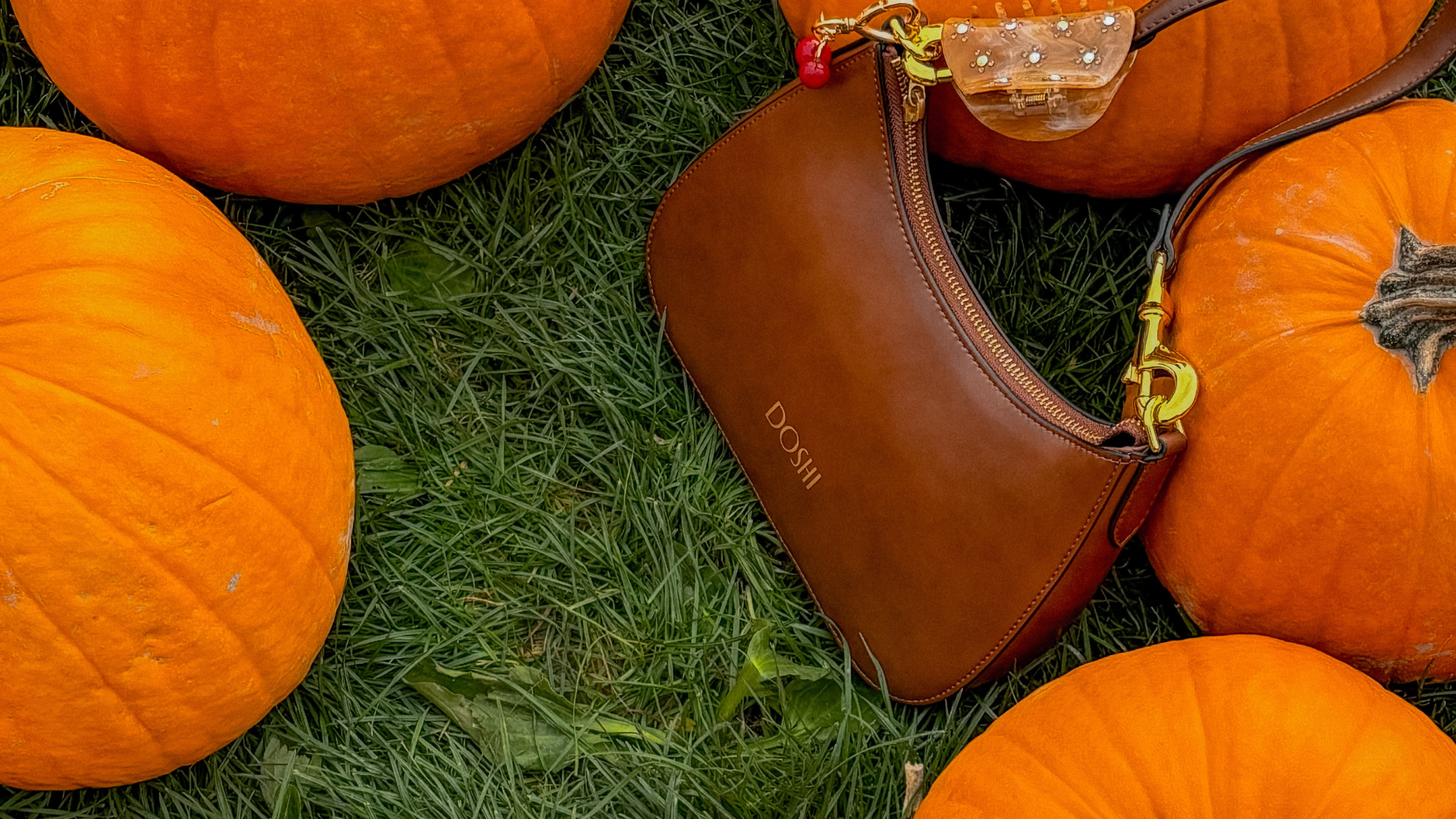 collection-banner-image